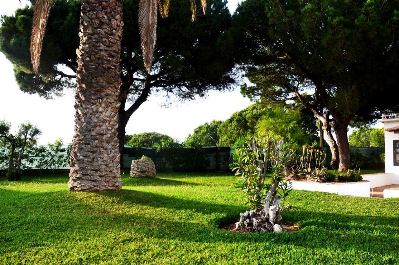 Sailing Studio Acoteias Albufeira Dış mekan fotoğraf