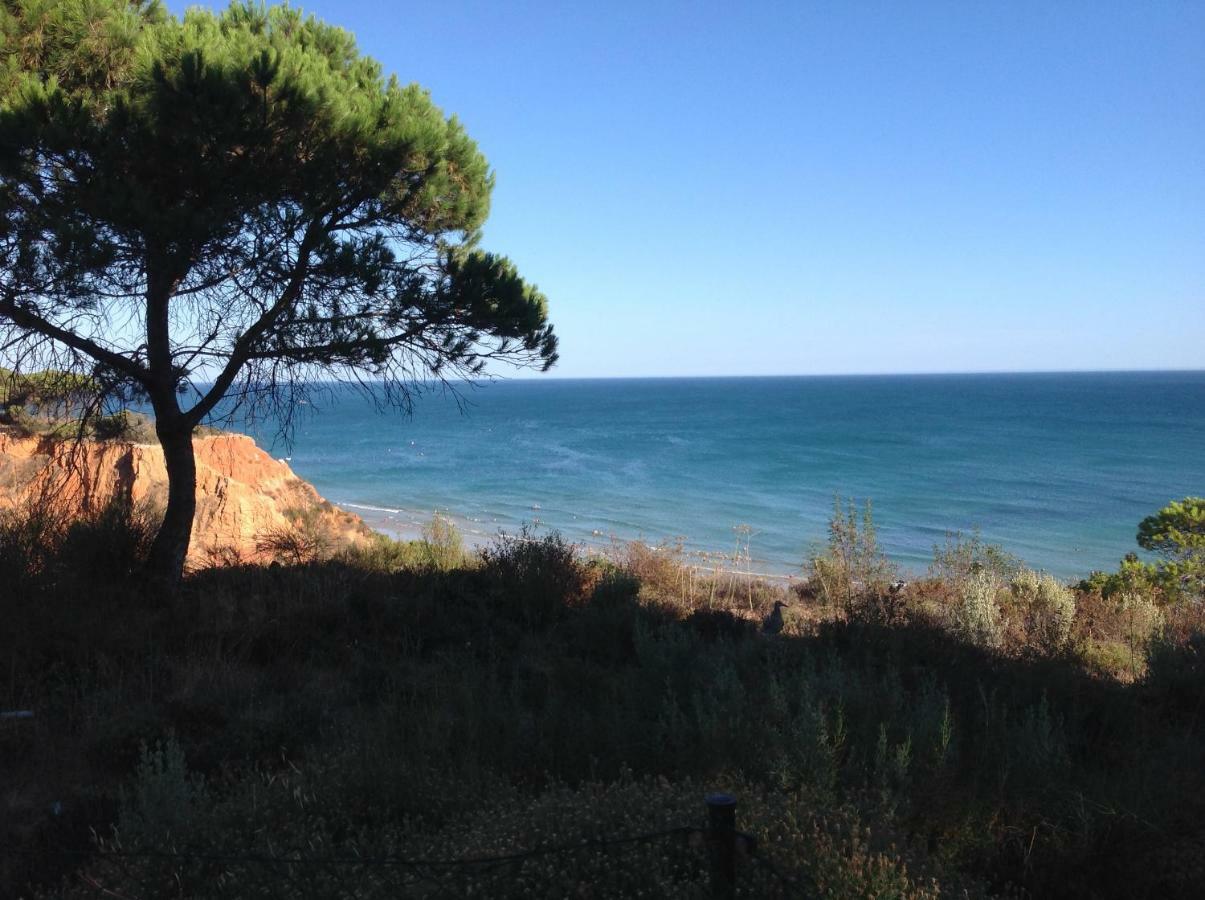 Sailing Studio Acoteias Albufeira Dış mekan fotoğraf